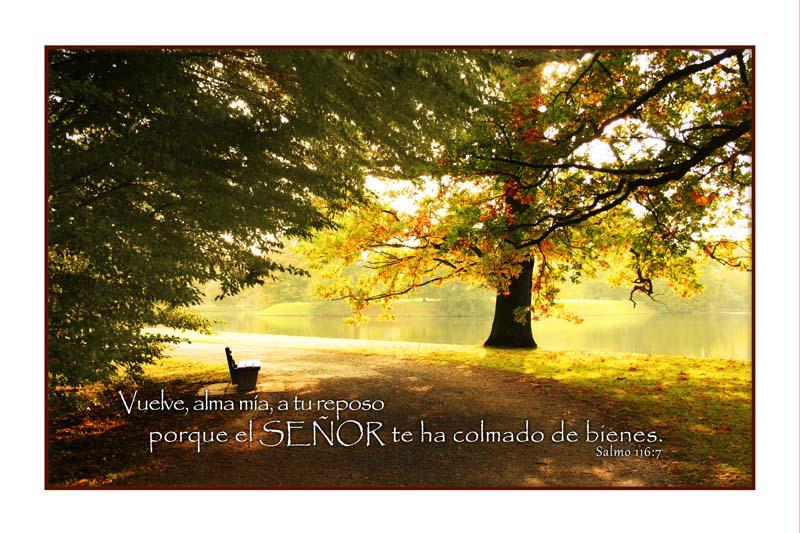 salmos 116, salomon, david