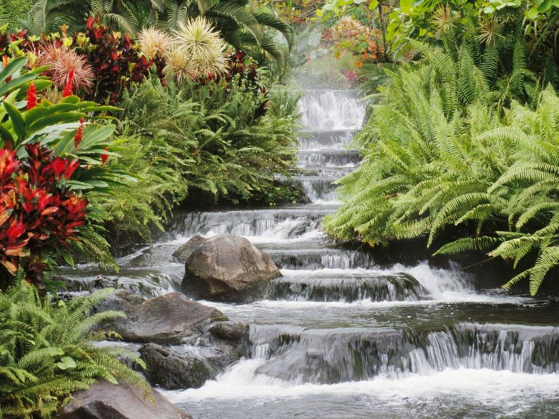 paisaje naturaleza, rio, fuente, quebrada, eclesiastés