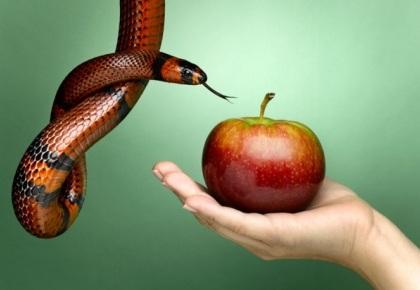Pecado, Tentación de Satanás, La Serpiente, Cuando un Miembro de la Iglesia Peca