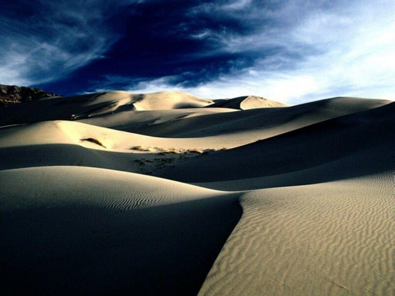 desierto, apetito pervertido, palabra de Dios, bosquejo