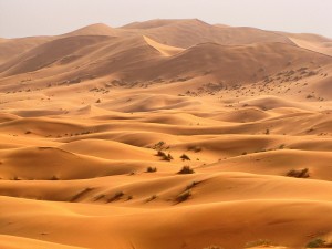 desierto, 2 palabras importantes, perdón, gracias, bosquejo para sermones