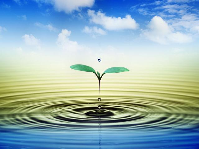 agua, vida, Dios