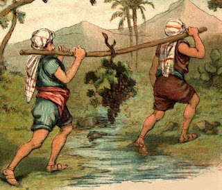 Valientes, uvas, selva, hombres
