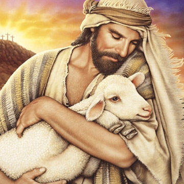 oveja, jesus, descarriada