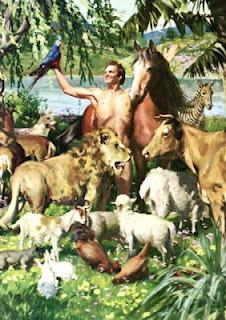 adan y eva, animales, fauna, selva