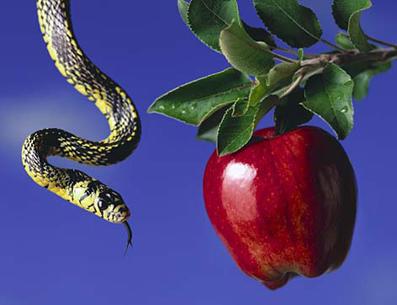 tentación, manzana, serpiente