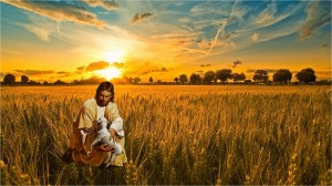 ensayo, amor, Dios, oveja perdida, reacción