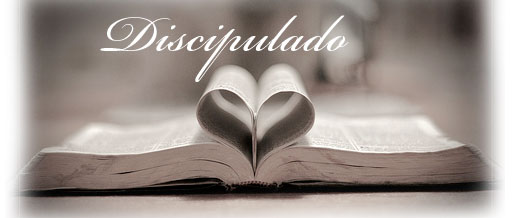 discipulado, iglesia, biblia