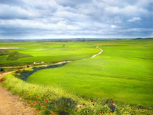 peregrinaje, estudio, dimensiones, camino, paisaje