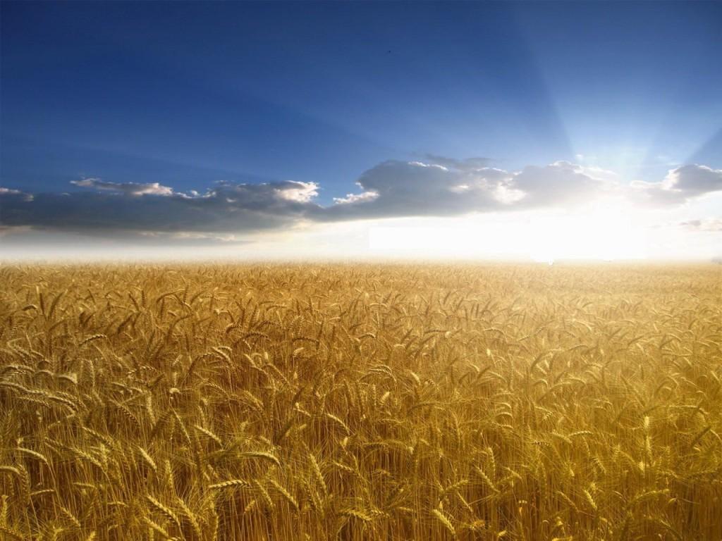 sol, campo, justicia, cielo