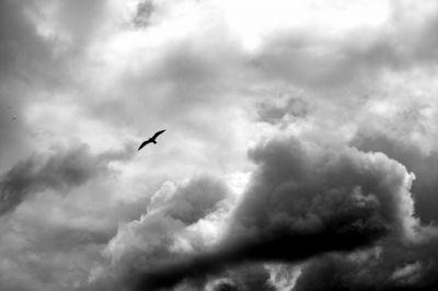 tempestad, tormenta, tempestades