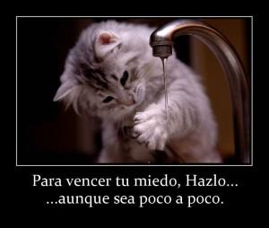 miedo, vencer, todo es posible, Dios, reflexion
