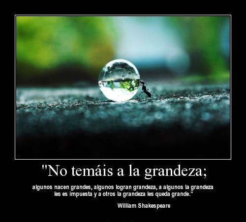 grandeza, Dios, senorio, estudio