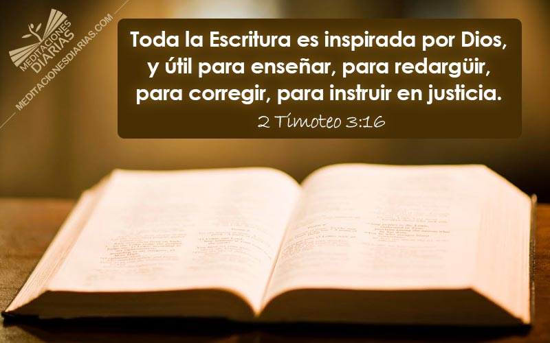 justicia, biblia, mundo
