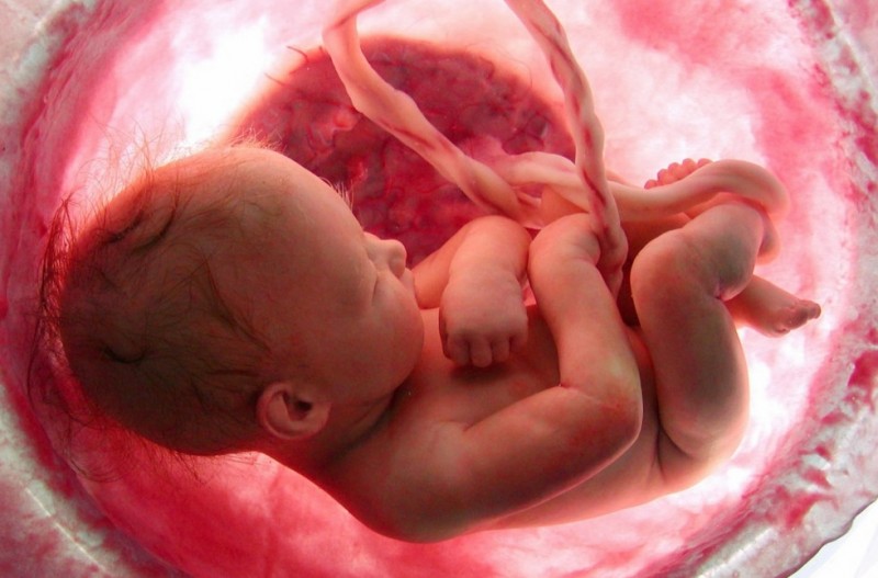 bebe, vida, aborto