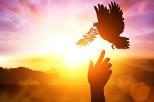 espiritu santo, viviendo