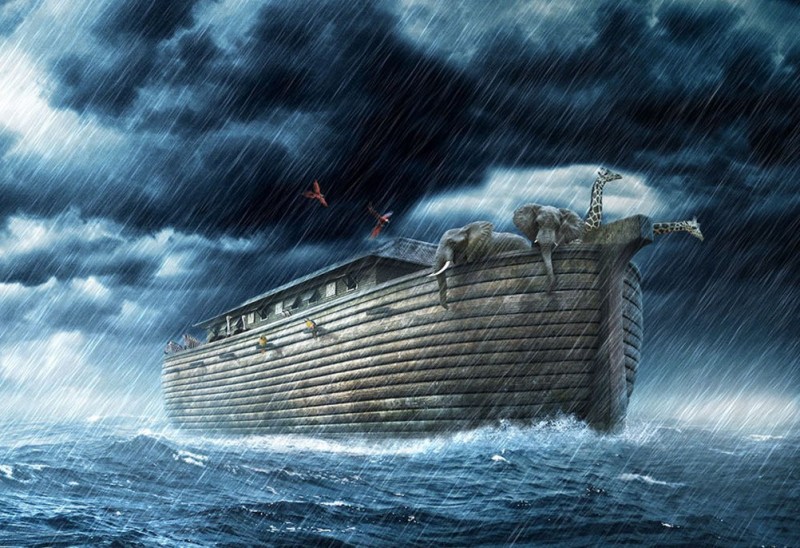 Noé, Una Nueva Posibilidad - Reflexión - El Punto Cristiano